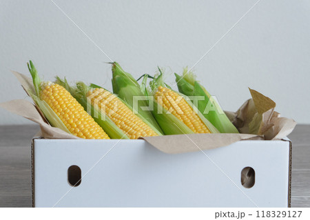 とうもろこし　ふるさと納税　返礼品 118329127