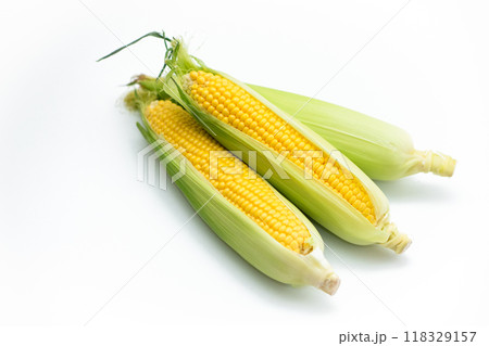 とうもろこし　ふるさと納税　返礼品 118329157