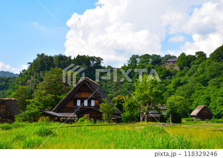 夏 白川郷 夏 白川郷 118329246