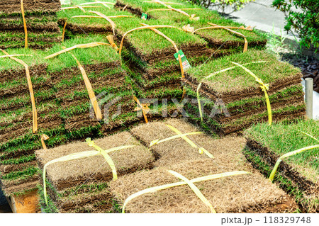 天然芝生マットの個別販売 天然芝生マットの個別販売 118329748