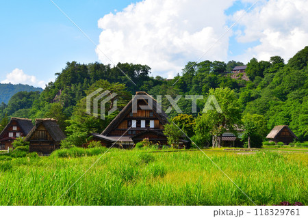 夏 白川郷 夏 白川郷 118329761
