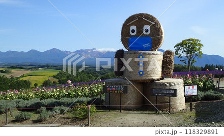 四季彩の丘に佇むロール君 118329891