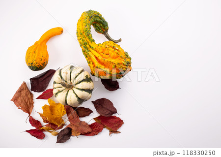 Autumn decoration from dry leaves and pumpkin on white background. Flat lay. Thanksgiving concept. Autumn decoration from dry leaves and pumpkin on white background. Flat lay. Thanksgiving concept. 118330250
