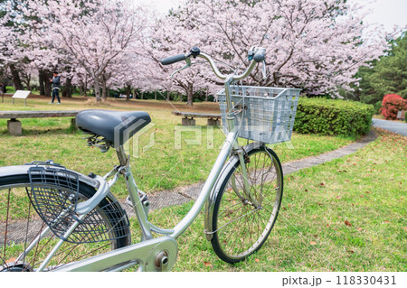 Bike at pink sakura blossom tunnel at Uminonakamichi park, Fukuoka 118330431