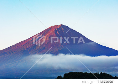 河口湖畔から望む早朝の紅く染まる早朝の富士山 118330501