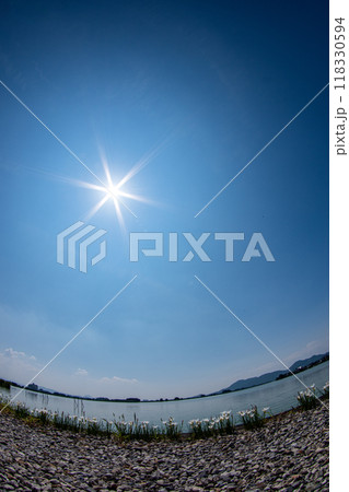 超広角レンズで見る晩夏の西の湖と太陽の光芒 超広角レンズで見る晩夏の西の湖と太陽の光芒 118330594