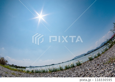 超広角レンズで見る晩夏の西の湖と太陽の光芒 超広角レンズで見る晩夏の西の湖と太陽の光芒 118330595