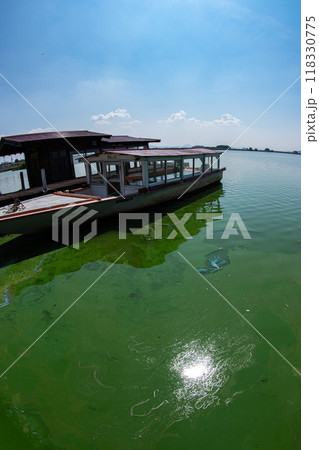 広角レンズで撮る晩夏の西の湖と青空のコピースペース 広角レンズで撮る晩夏の西の湖と青空のコピースペース 118330775