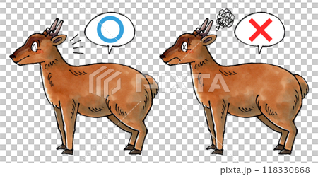 審判虛言套裝 (Marubatsu) 118330868