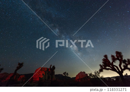 The Milky Way over Joshua Tree National Park 118331271