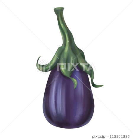 Autumn harvest of purple eggplant. Fresh farm vegetables, healthy food, vegetarianism. Garden plants and agriculture. Isolated digital handmade illustration. A graphic design element 118331883
