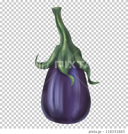 Autumn harvest of purple eggplant. Fresh farm vegetables, healthy food, vegetarianism. Garden plants and agriculture. Isolated digital handmade illustration. A graphic design element 118331883