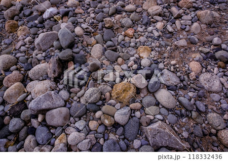 川底の丸い石 118332436