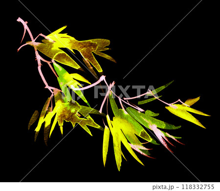 Neon watercolour leaves and flowers Neon watercolour leaves and flowers 118332755