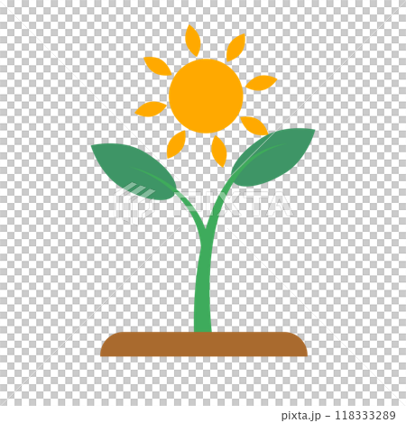 植物の芽と太陽・光合成 118333289
