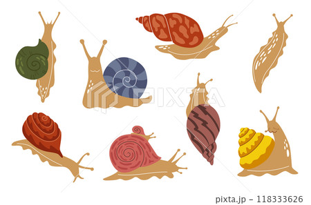 Set of snails of different colors and shapes. Cute characters in cartoon style on a white background. Collection of vector illustrations. Set of snails of different colors and shapes. Cute characters in cartoon style on a white background. Collection of vector illustrations. 118333626