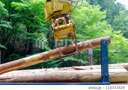 木材運搬用トラックに積載されるバイオマス用燃料用の木材 木材運搬用トラックに積載されるバイオマス用燃料用の木材 118333820