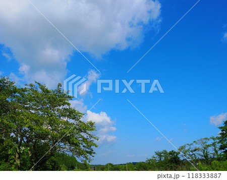 爽やかな青空 118333887