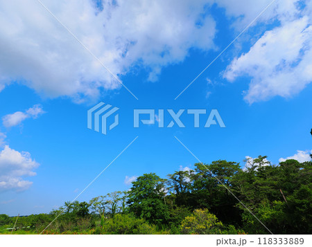 青空と白い雲 青空と白い雲 118333889