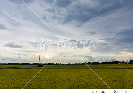 悪天候に向かう真夏の田んぼと雲のある風景 118334162