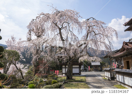 遠野町円福寺 遠野町円福寺 118334167
