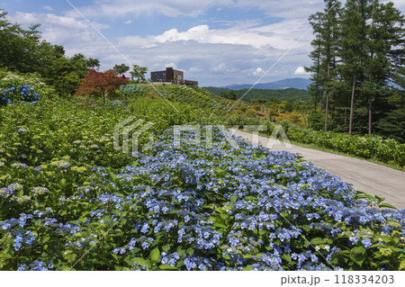 ジュピアランド平田 118334203