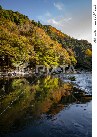 竜神峡の紅葉 竜神峡の紅葉 118334213