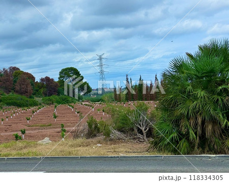 バスにてスペイン旅のトイレ休憩時にパシャり バスにてスペイン旅のトイレ休憩時にパシャり 118334305