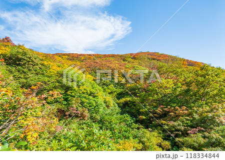 秋の焼石岳登山（銀明水避難小屋～姥石平） 118334844
