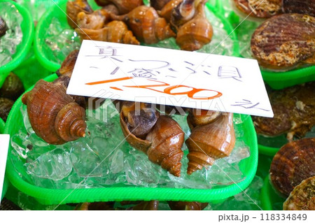 真つぶ貝　真つぶ　ツブ貝　つぶ貝　エボゾラ　 118334849