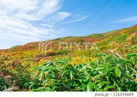 秋の焼石岳登山（銀明水避難小屋～姥石平）：横岳の紅葉 118334864