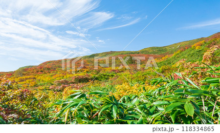 秋の焼石岳登山（銀明水避難小屋～姥石平）：横岳の紅葉 118334865
