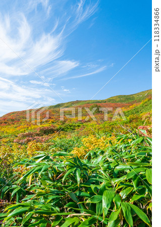 秋の焼石岳登山（銀明水避難小屋～姥石平）：横岳の紅葉 118334866