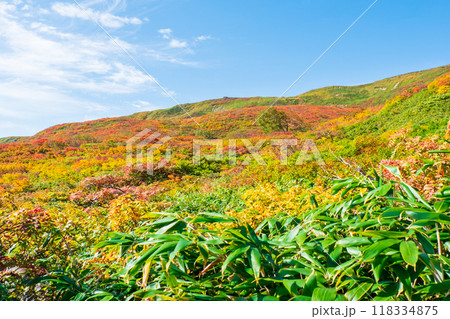 秋の焼石岳登山（銀明水避難小屋～姥石平）：横岳の紅葉 118334875