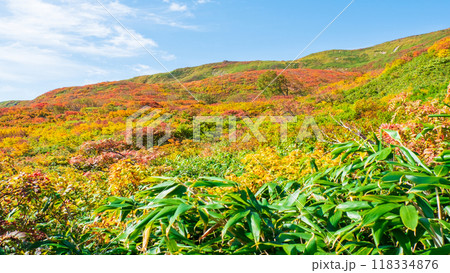 秋の焼石岳登山（銀明水避難小屋～姥石平）：横岳の紅葉 118334876