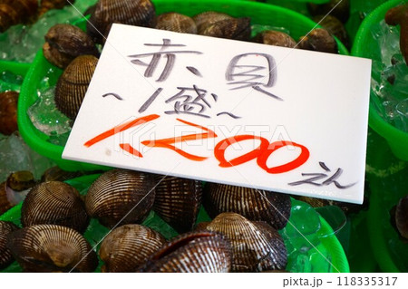 アカガイ 赤貝 蚶 アカガイ 赤貝 蚶 118335317