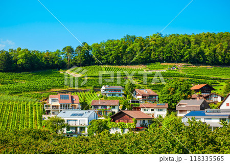 Vineyards in Spiez town, Switzerland Vineyards in Spiez town, Switzerland 118335565