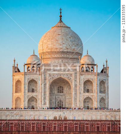 Taj Mahal marble mausoleum, Agra 118335595