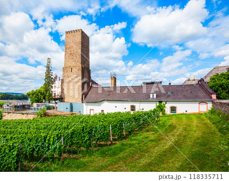 Rudesheim am Rhein Vineyards, Germany 118335711