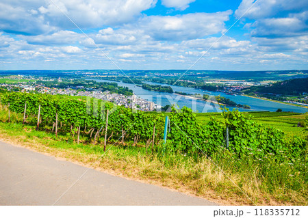 Rudesheim am Rhein Vineyards, Germany Rudesheim am Rhein Vineyards, Germany 118335712