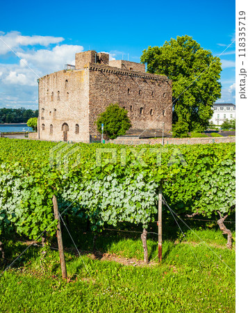 Rudesheim am Rhein Vineyards, Germany 118335719