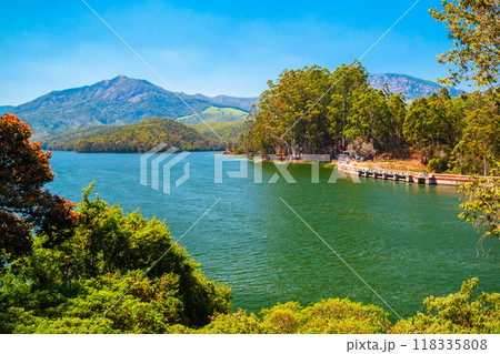 Dam lake near Munnar, India 118335808
