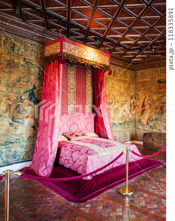 Chateau de Chenonceau castle, France Chateau de Chenonceau castle, France 118335891