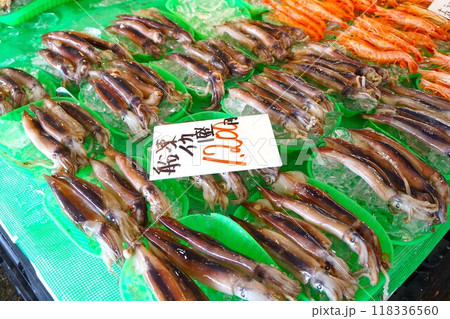 船凍イカ　冷凍イカ　イカ 118336560