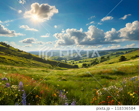 summer landscape with mountains and flowers 118336584