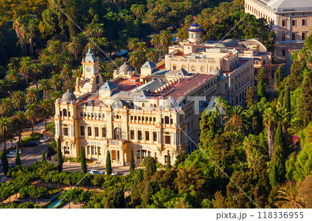 Malaga Town Hall aerial panoramic view in Spain 118336955