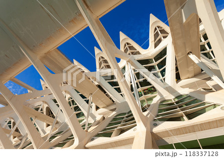 The City of Arts and Sciences in Valencia, Spain The City of Arts and Sciences in Valencia, Spain 118337128
