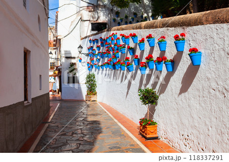 Colorful flower pots in Marbella city in Andalusia Colorful flower pots in Marbella city in Andalusia 118337291