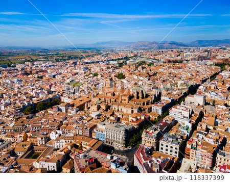 Granada Cathedral city aerial panoramic view in Spain Granada Cathedral city aerial panoramic view in Spain 118337399