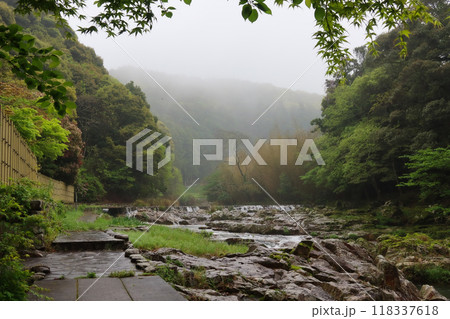 雨にけむる川辺の木々 118337618
